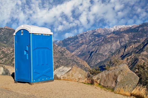 Best Porta potty rental for festivals  in Watervliet, MI