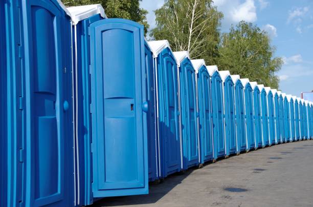 Portable Toilet Options We Offer in Watervliet, MI